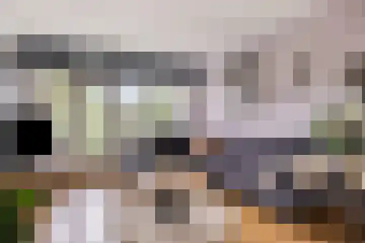 Leeuwstraat 8 in Dordrecht