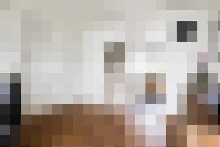 Leeuwstraat 84 Dordrecht thumbnail 7
