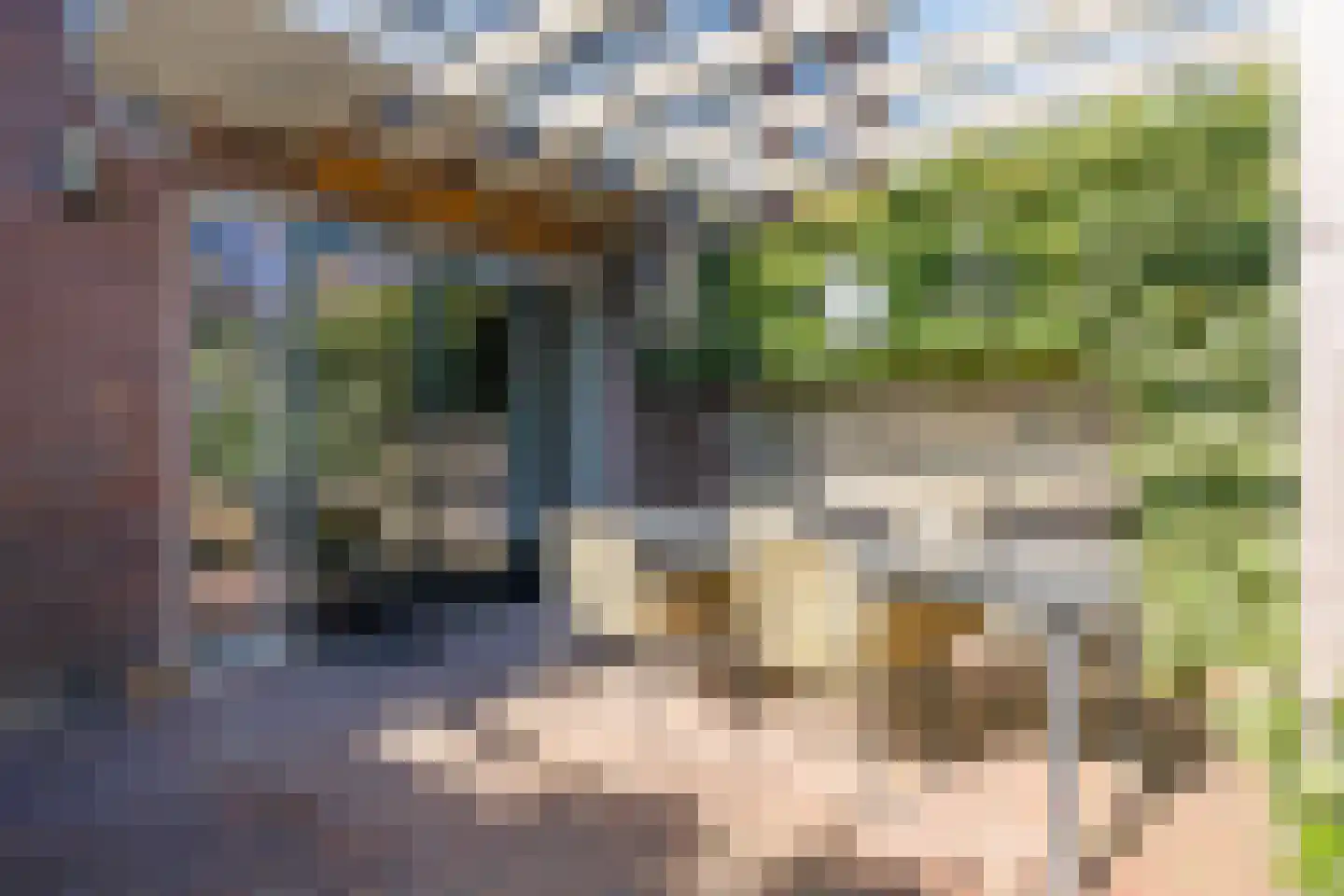 Leeuwstraat 9 Nijmegen thumbnail 13