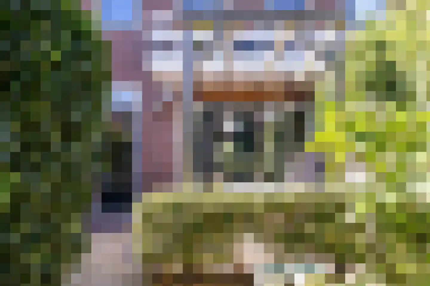 Leeuwstraat 9 Nijmegen thumbnail 14