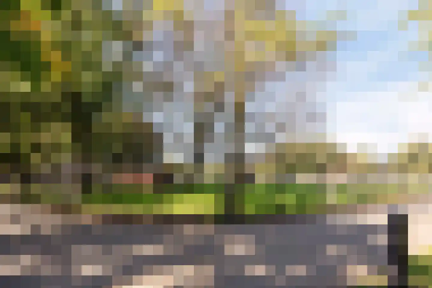 Leeuwstraat 9 Nijmegen thumbnail 35