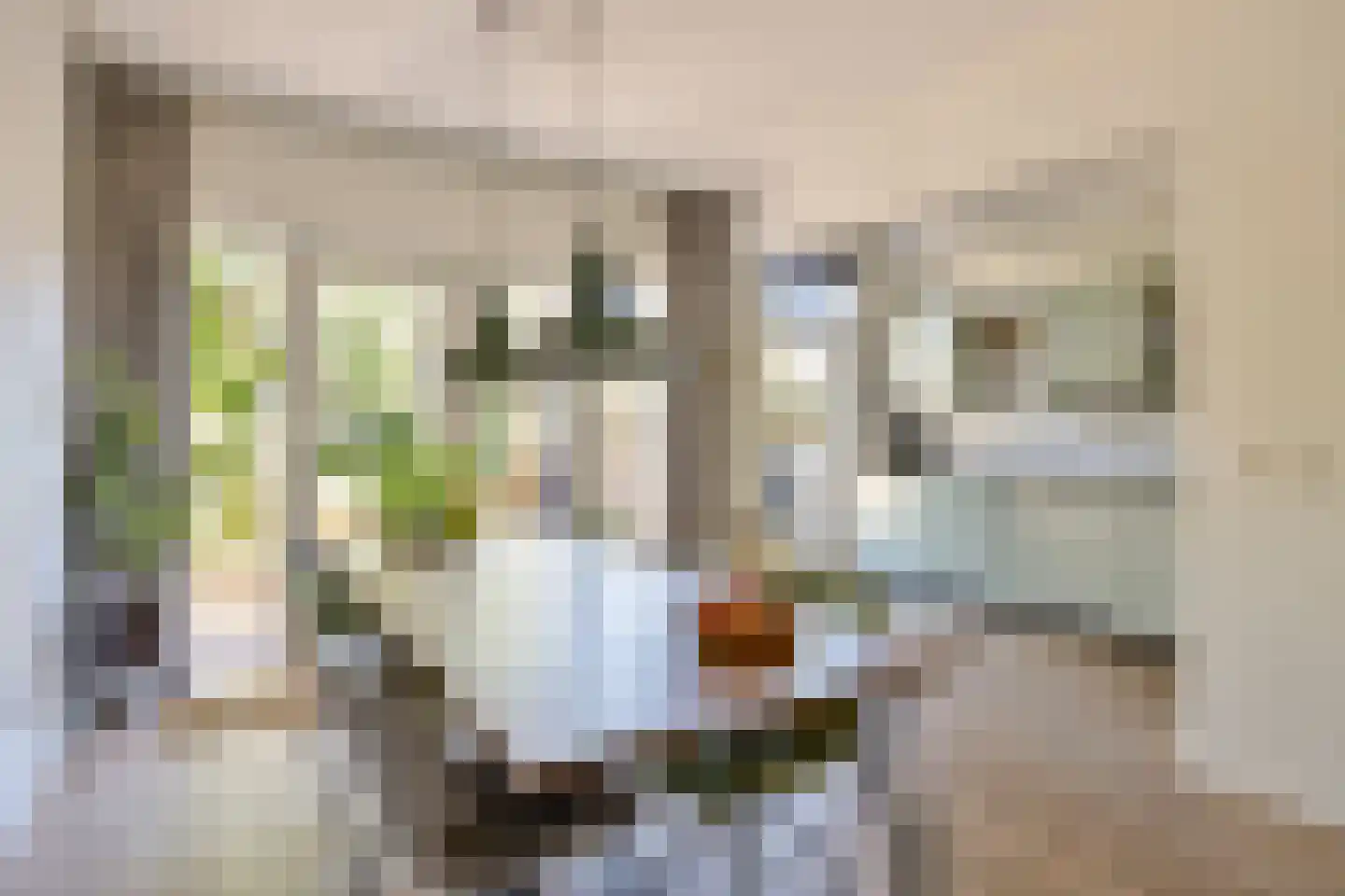 Leeuwstraat 9 Nijmegen thumbnail 4