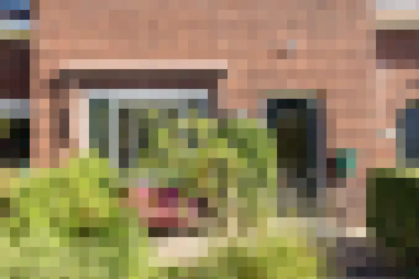 Leeuwstraat 9 Nijmegen thumbnail 5