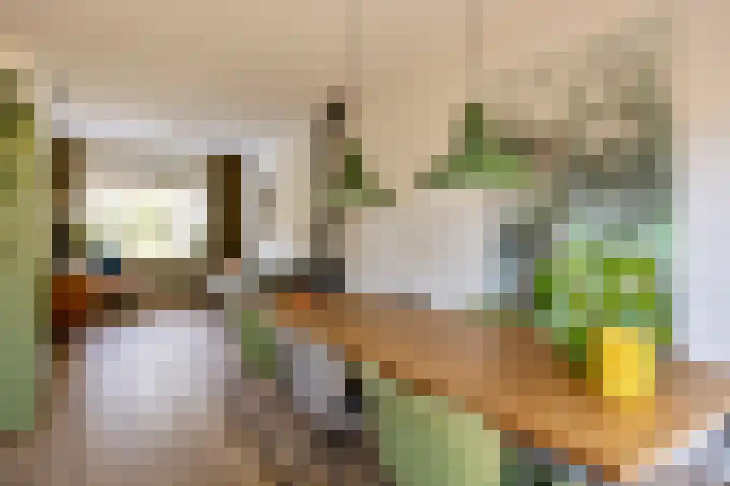Leeuwstraat 9 Nijmegen thumbnail 9