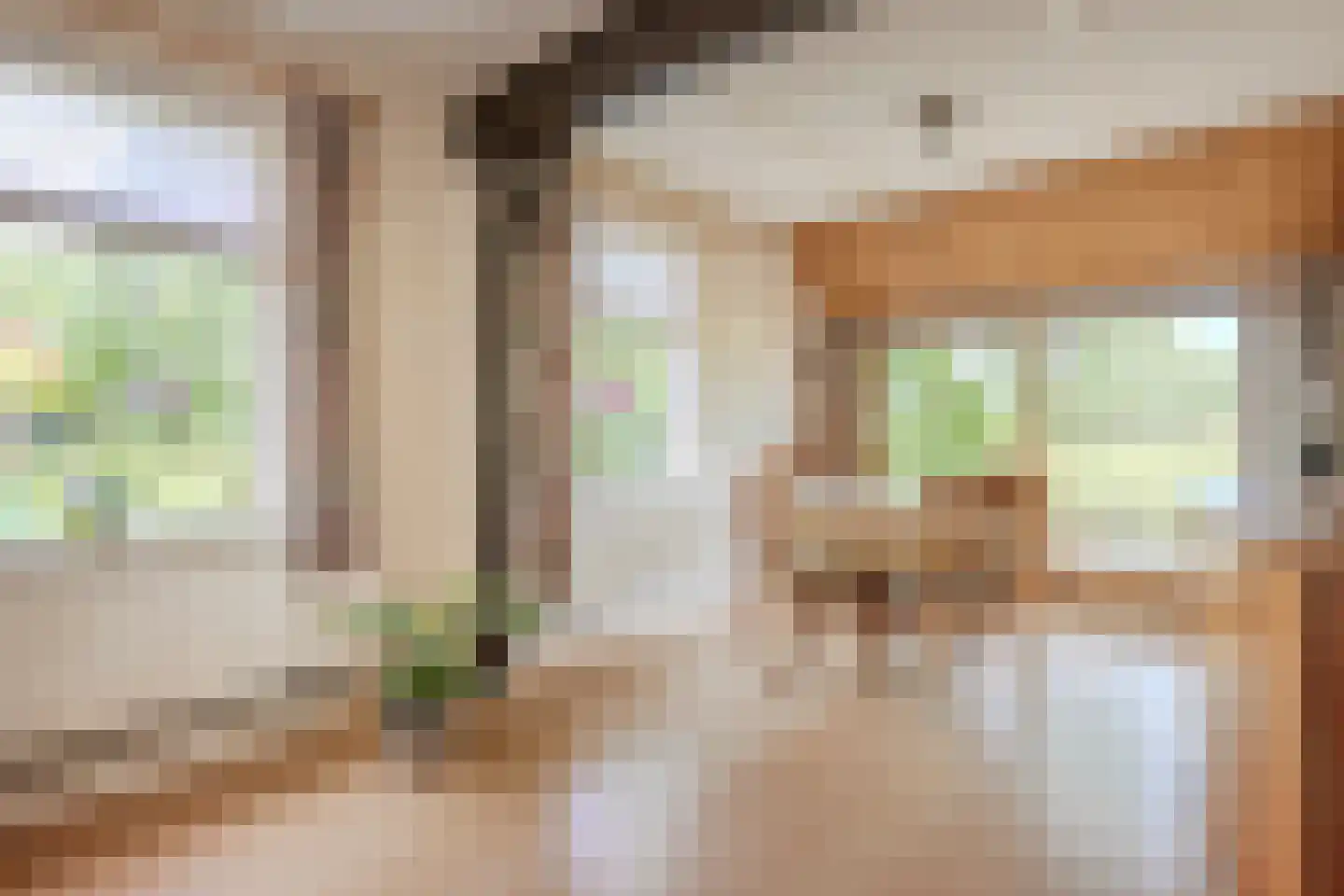Leeuwte 2 Sint Jansklooster thumbnail 12