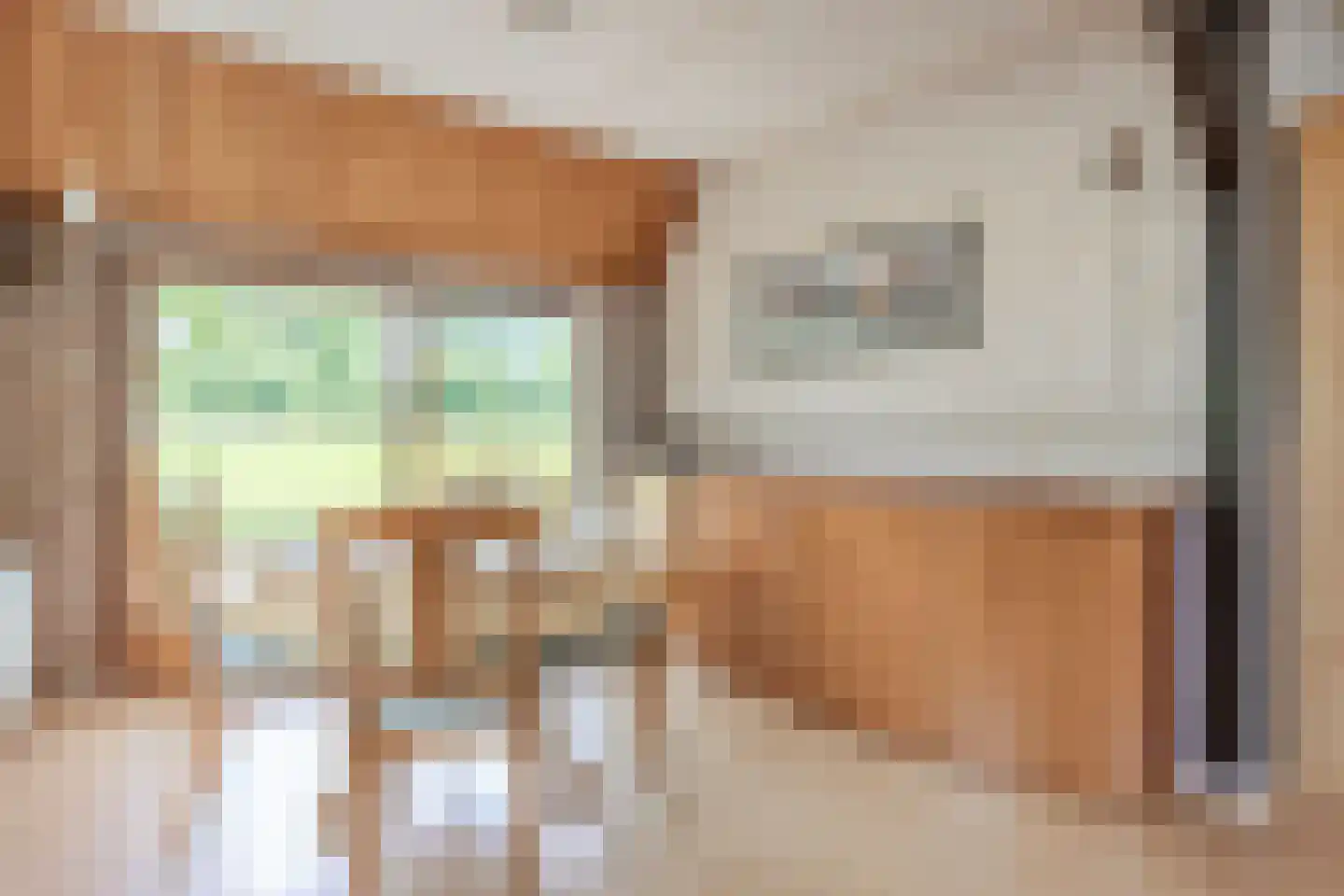 Leeuwte 2 Sint Jansklooster thumbnail 13
