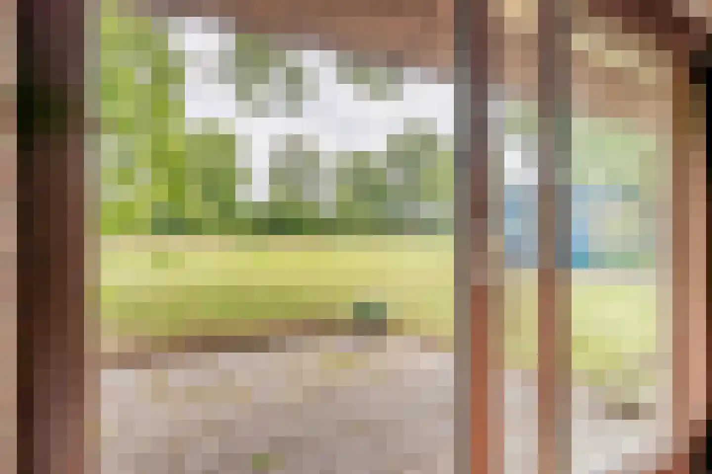 Leeuwte 2 Sint Jansklooster thumbnail 14