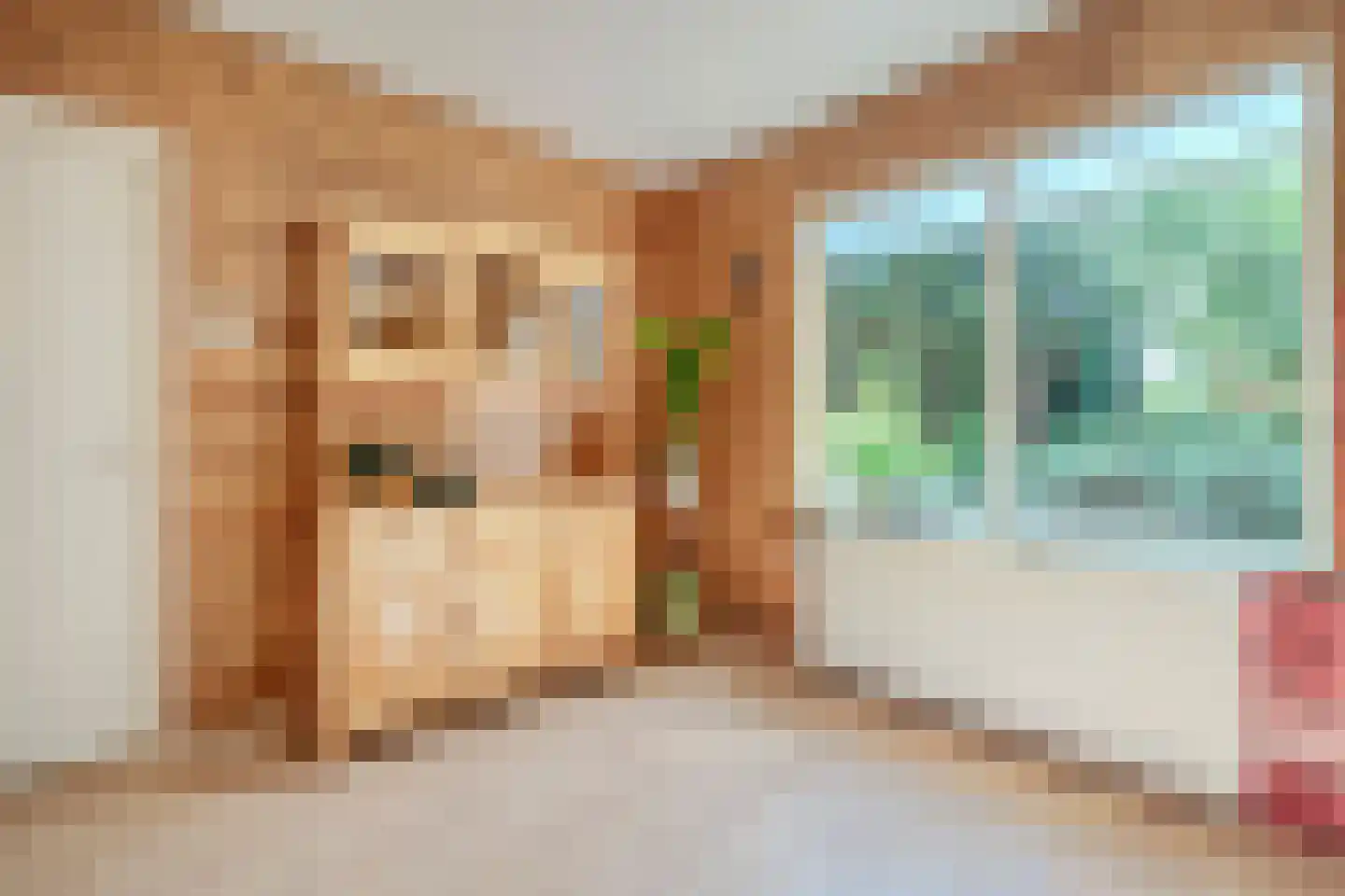 Leeuwte 2 Sint Jansklooster thumbnail 17