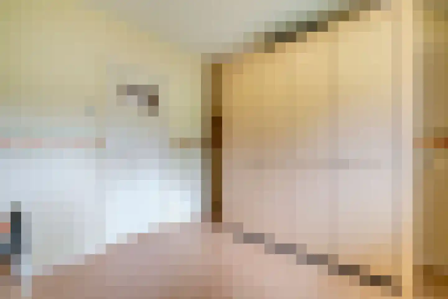 Leeuwte 2 Sint Jansklooster thumbnail 19