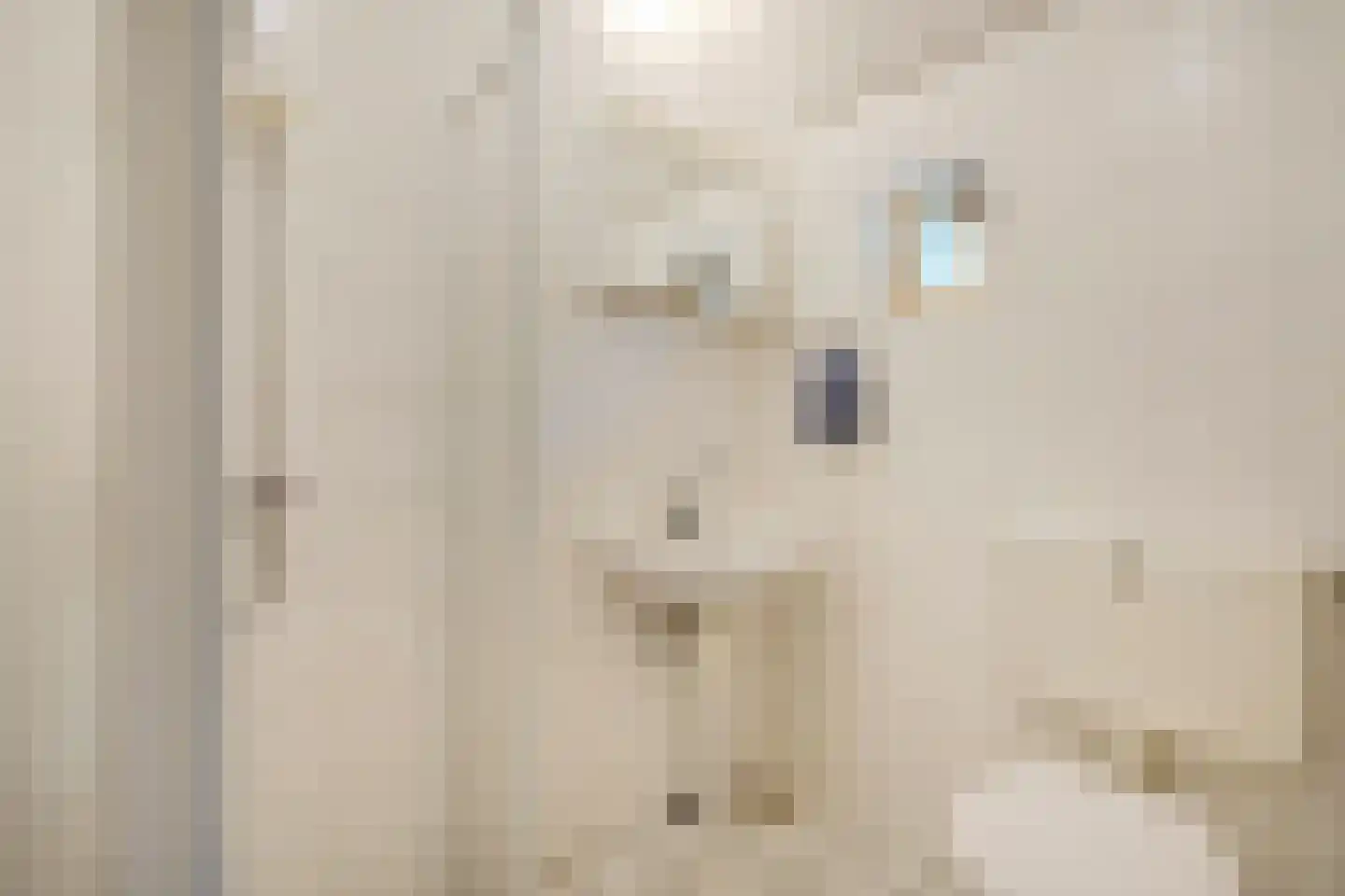 Leeuwte 2 Sint Jansklooster thumbnail 20