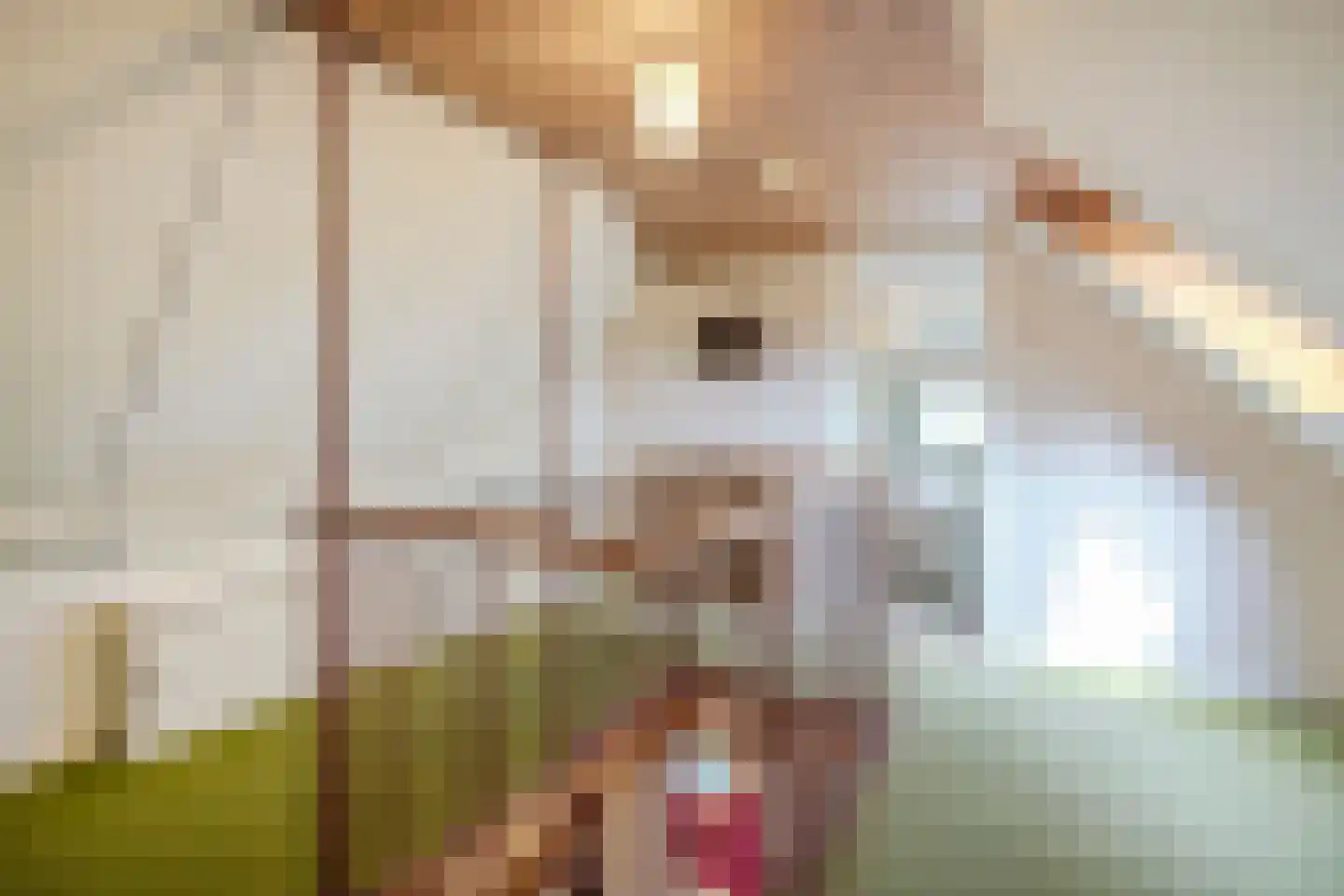 Leeuwte 2 Sint Jansklooster thumbnail 27