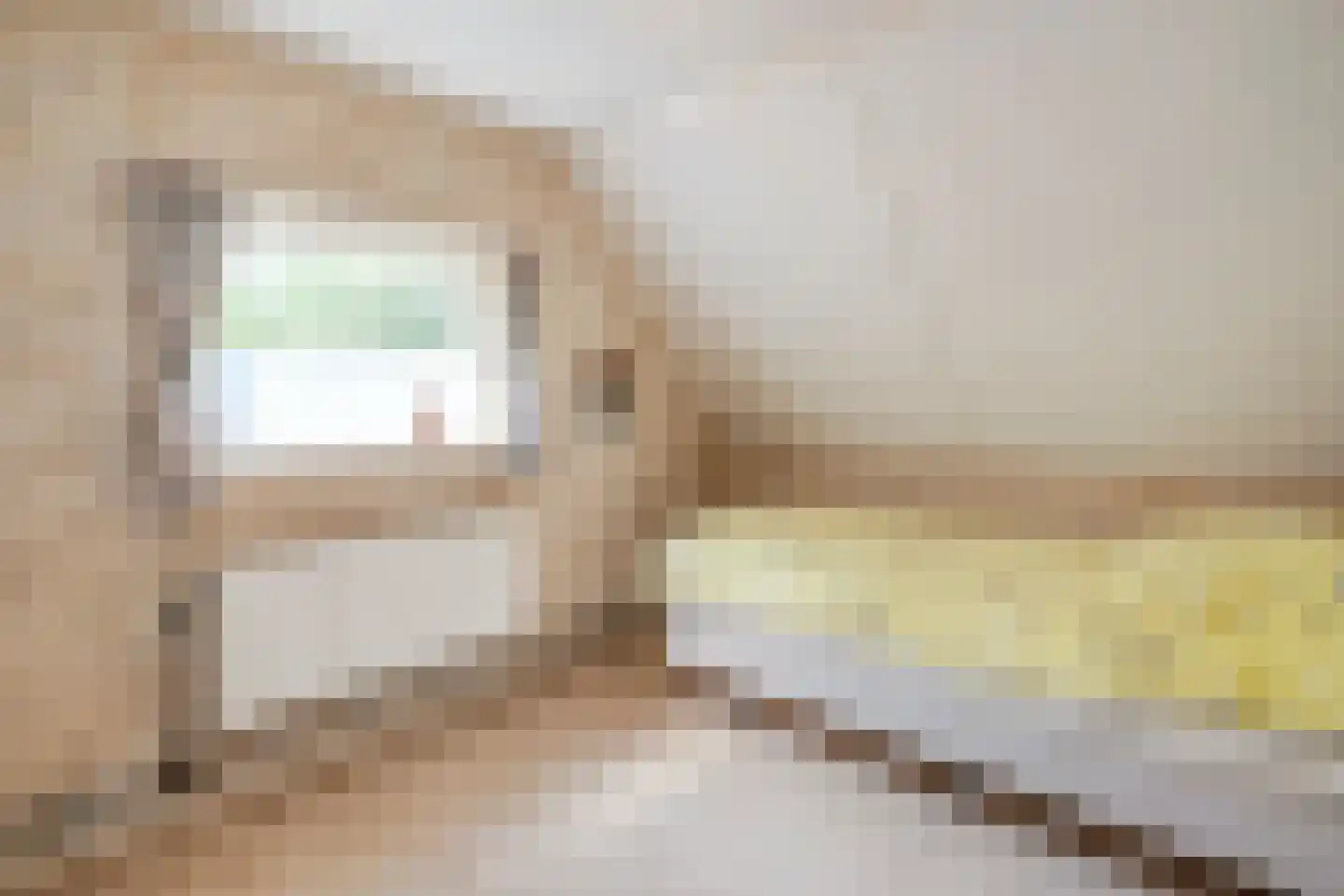 Leeuwte 2 Sint Jansklooster thumbnail 28