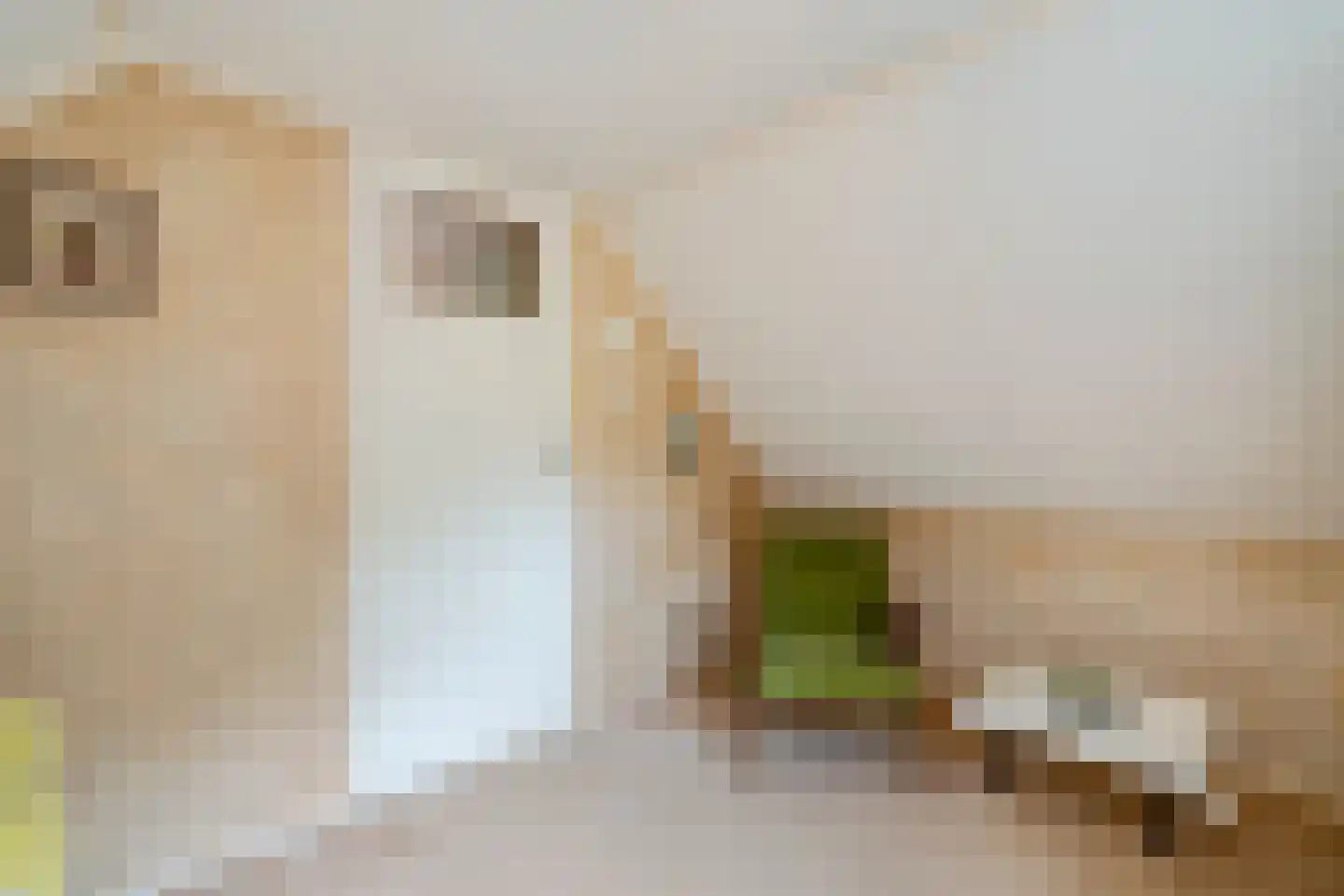 Leeuwte 2 Sint Jansklooster thumbnail 29