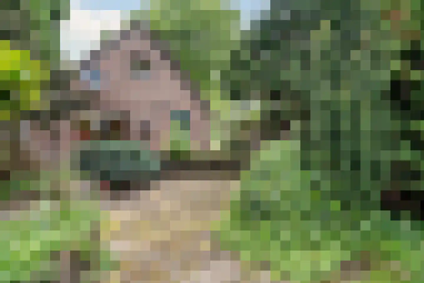 Leeuwte 2 Sint Jansklooster thumbnail 34