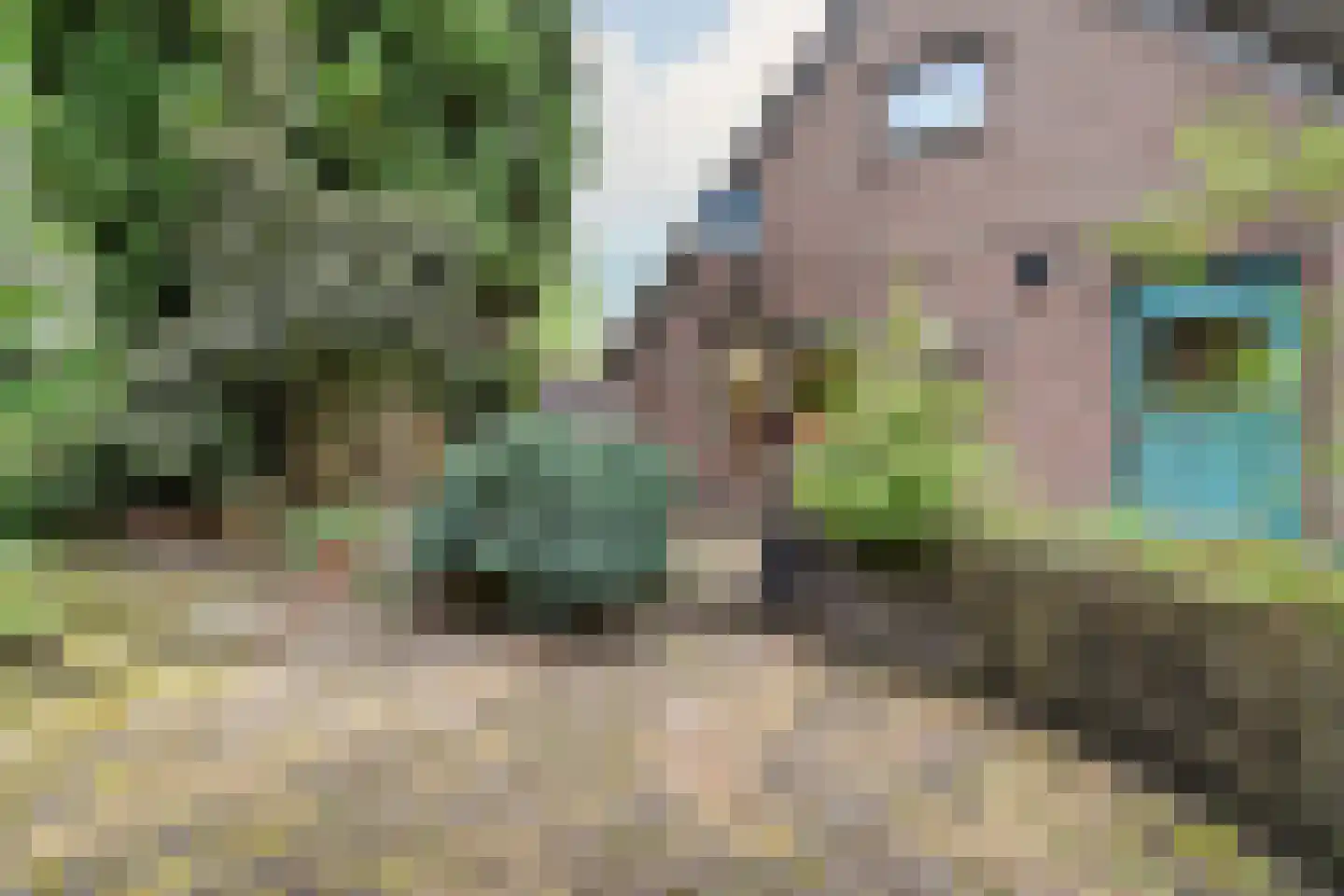 Leeuwte 2 Sint Jansklooster thumbnail 35