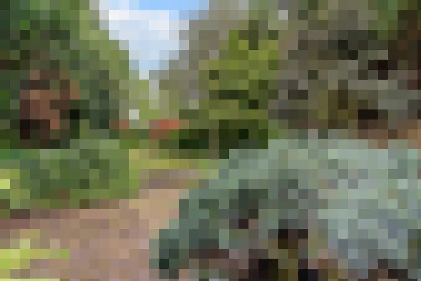 Leeuwte 2 Sint Jansklooster thumbnail 36