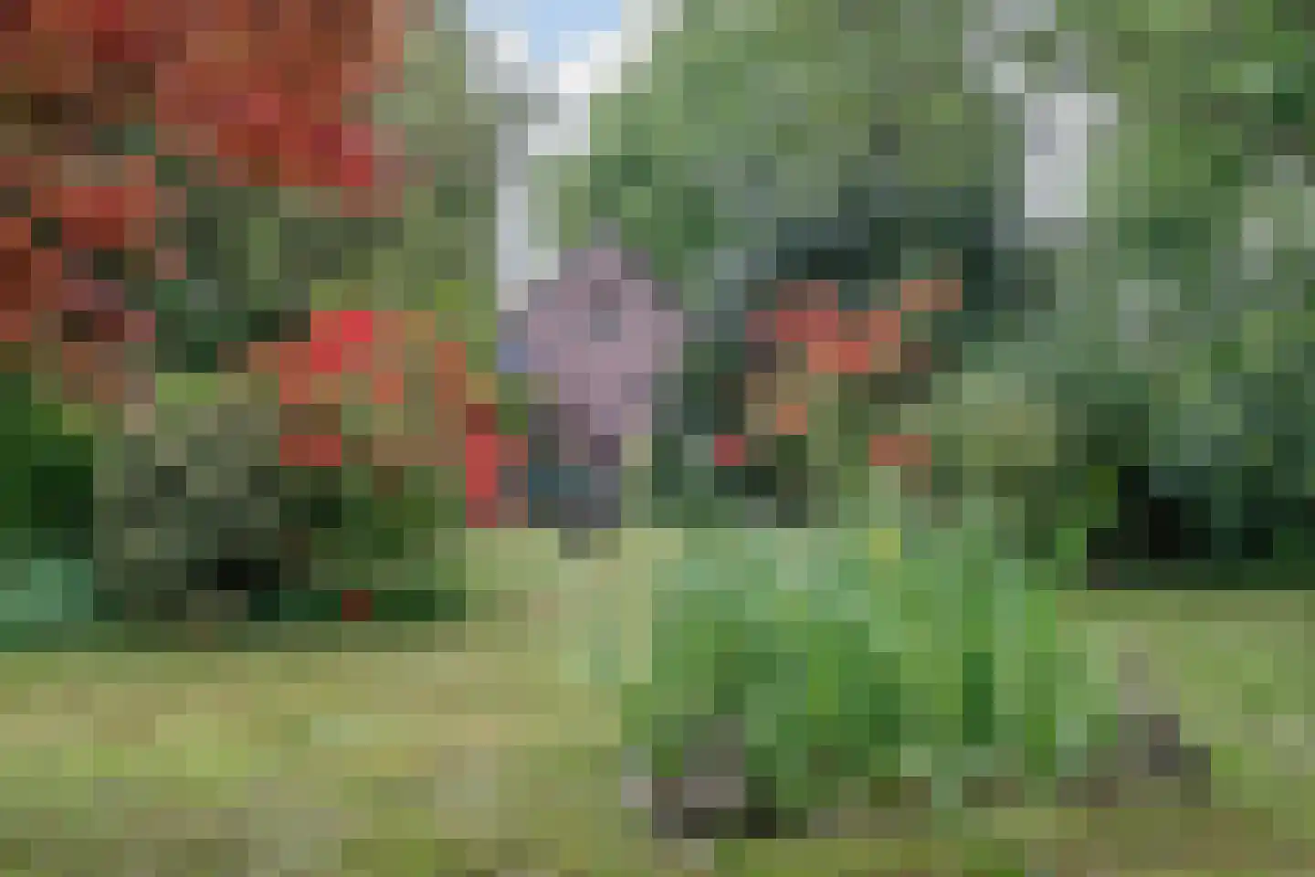 Leeuwte 2 Sint Jansklooster thumbnail 37