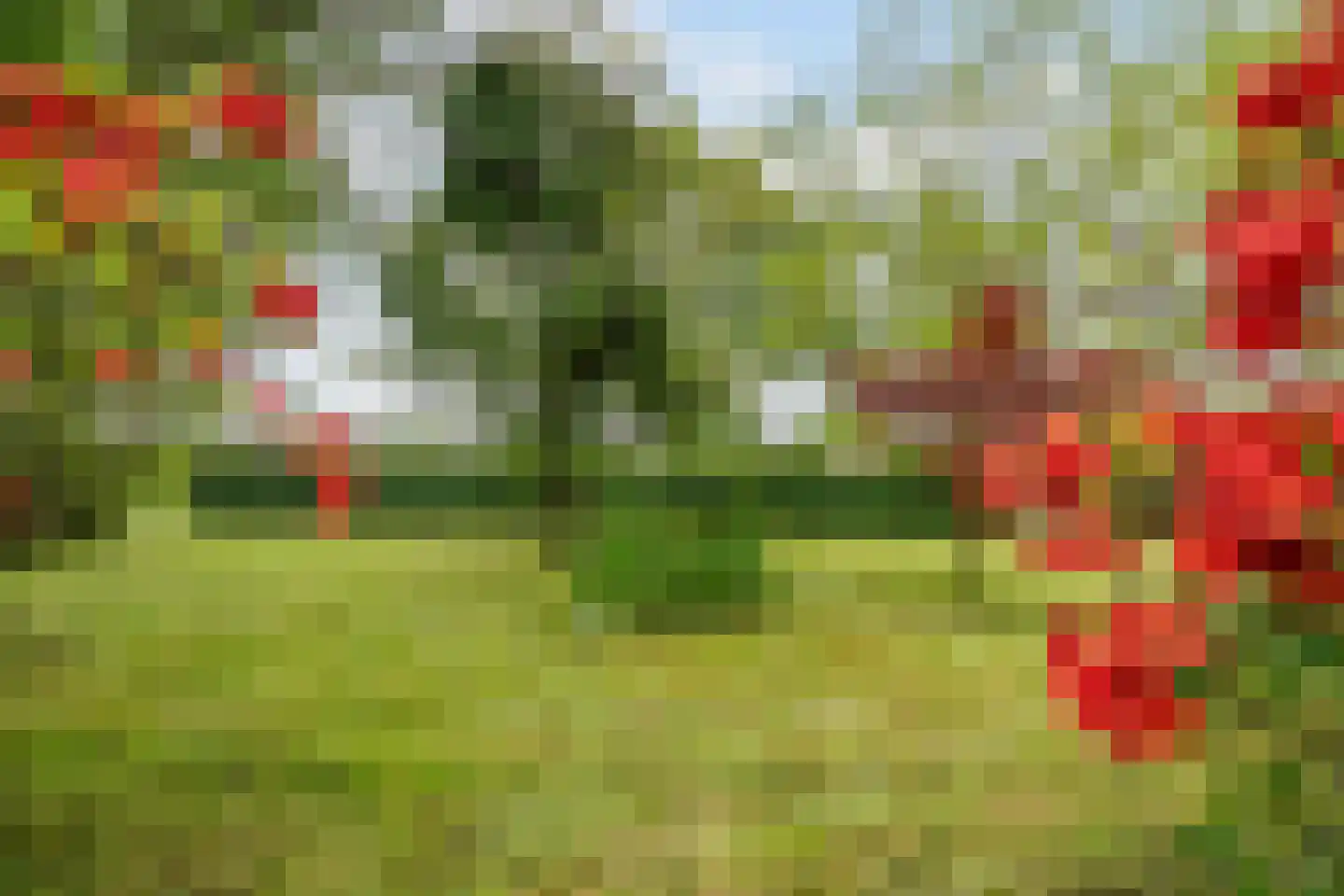 Leeuwte 2 Sint Jansklooster thumbnail 38