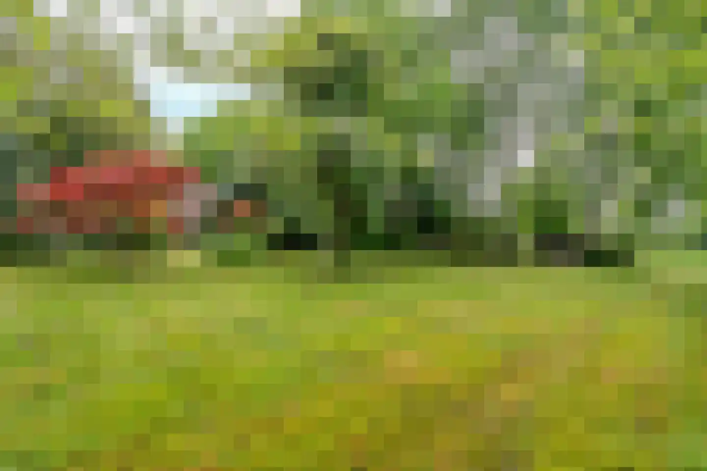 Leeuwte 2 Sint Jansklooster thumbnail 39