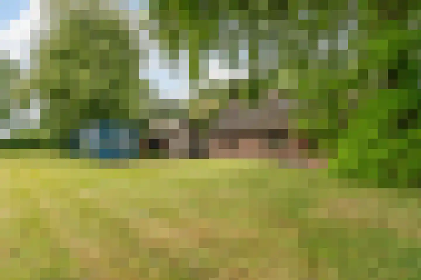 Leeuwte 2 Sint Jansklooster thumbnail 41