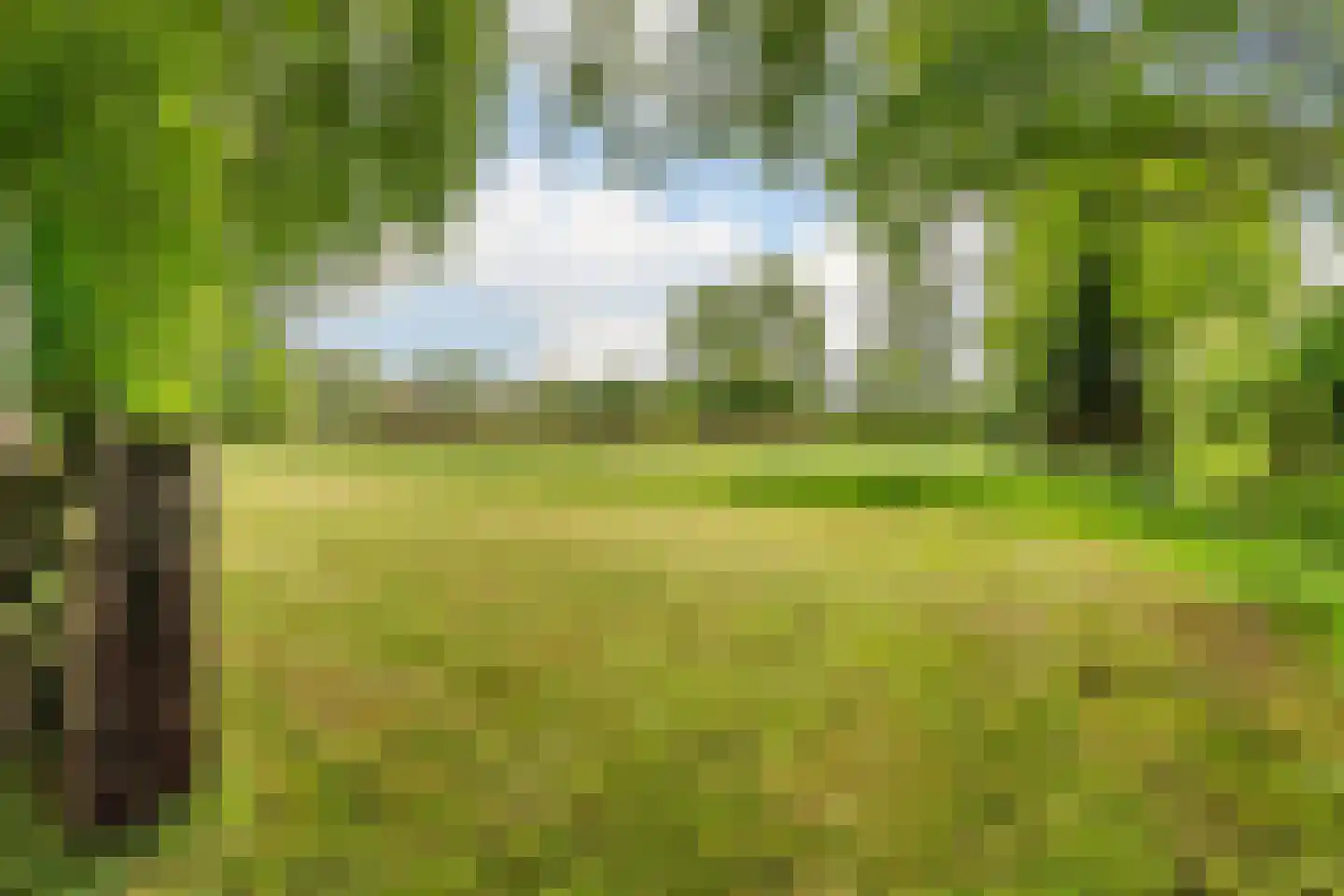 Leeuwte 2 Sint Jansklooster thumbnail 44