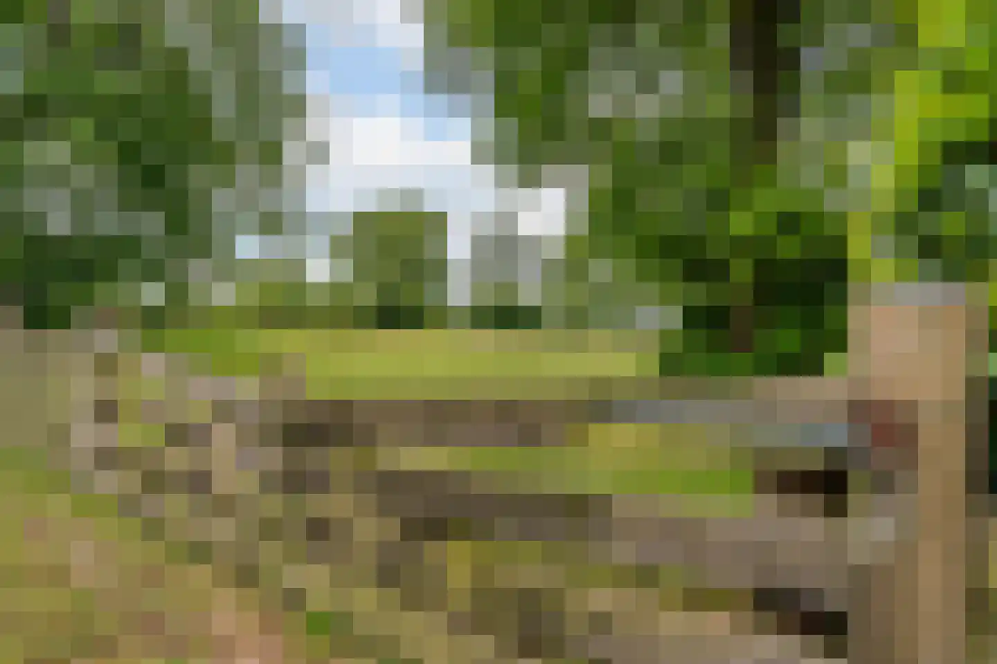 Leeuwte 2 Sint Jansklooster thumbnail 45