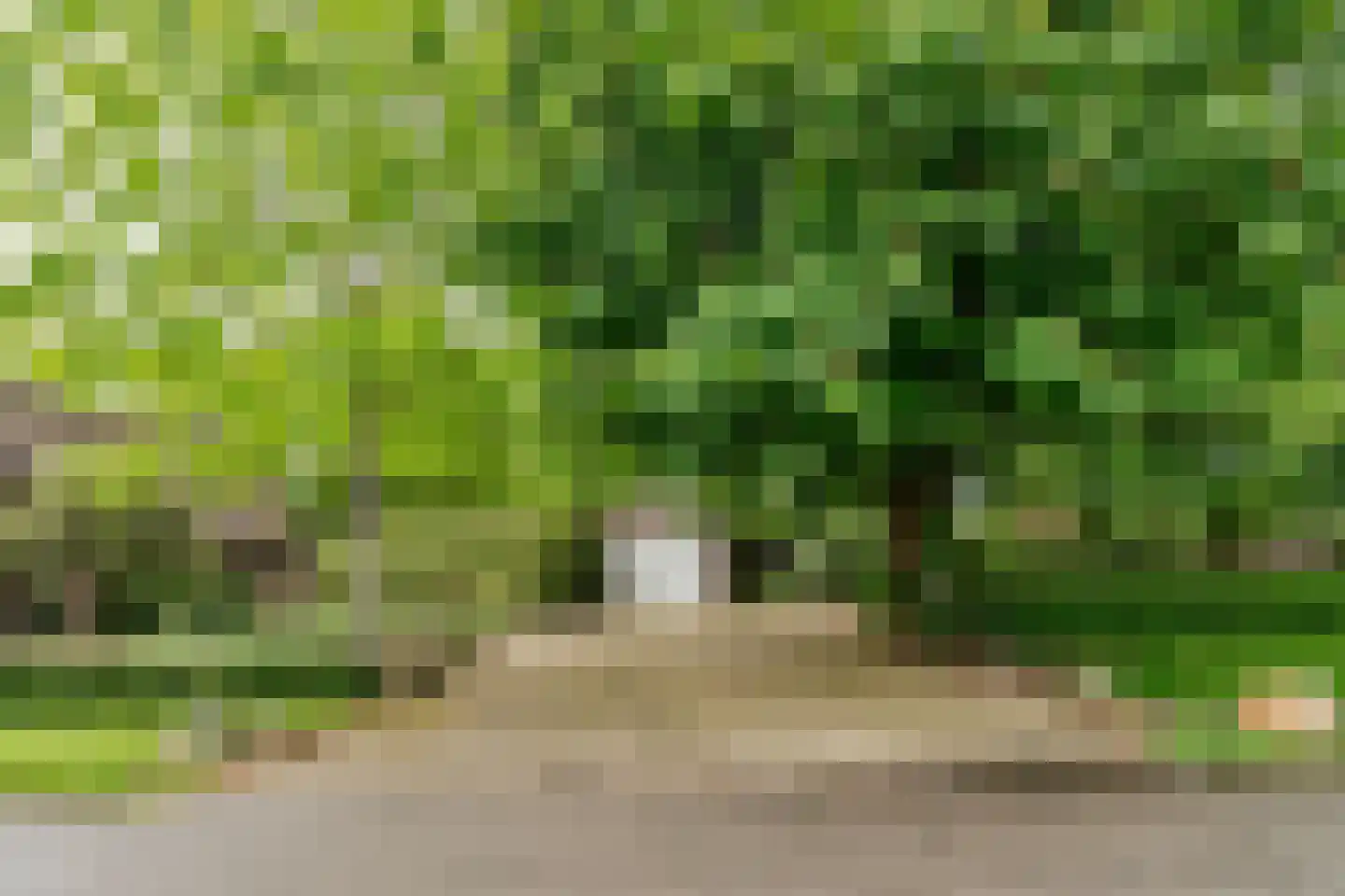 Leeuwte 2 Sint Jansklooster thumbnail 46