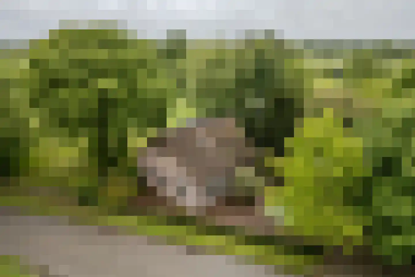Leeuwte 2 Sint Jansklooster thumbnail 49