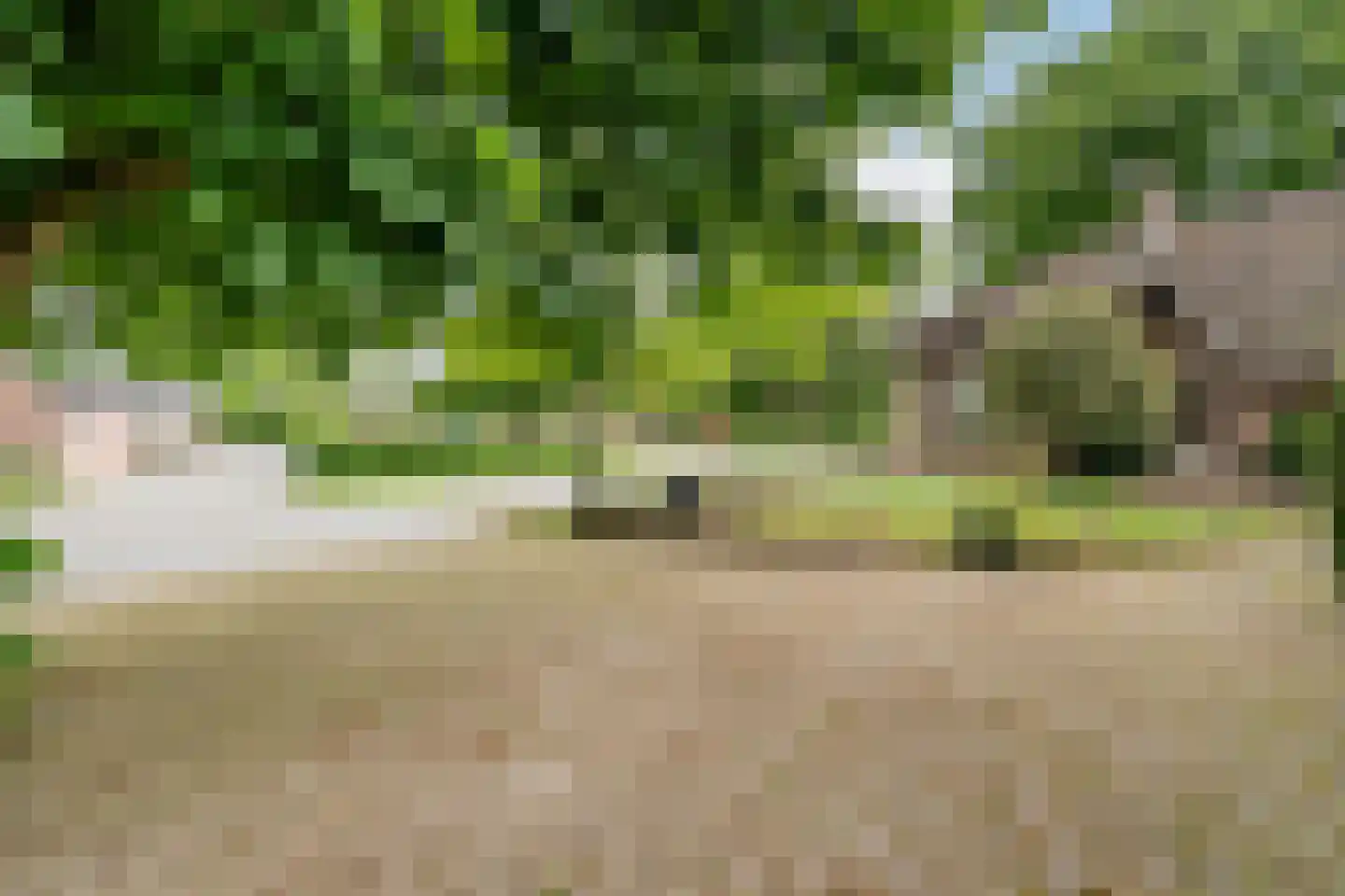 Leeuwte 2 Sint Jansklooster thumbnail 5
