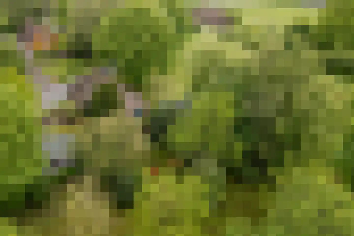 Leeuwte 2 Sint Jansklooster thumbnail 51