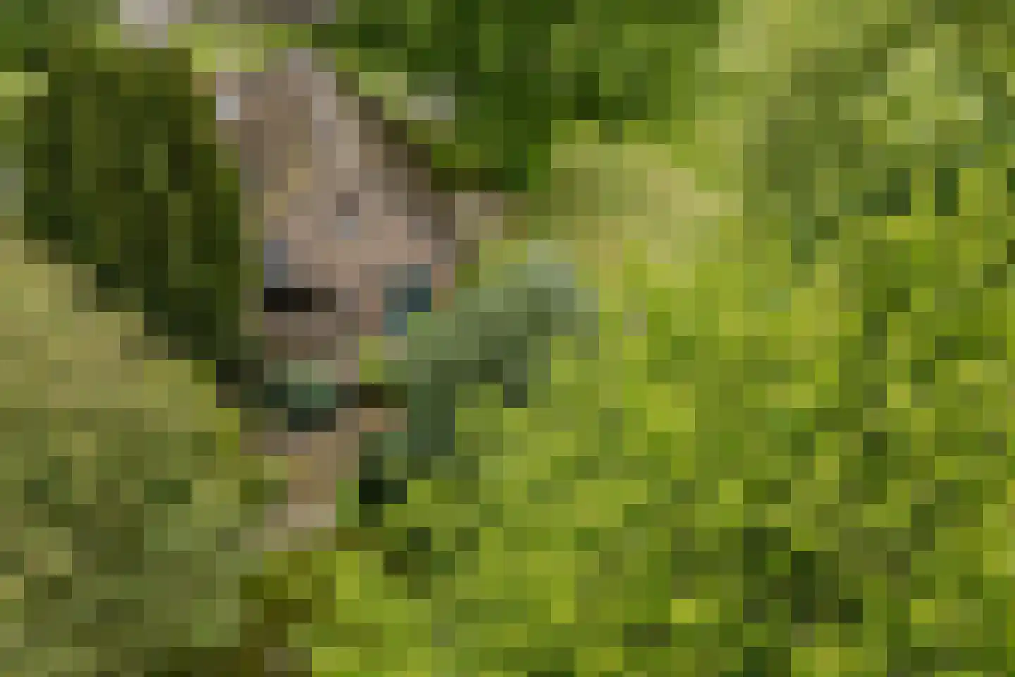 Leeuwte 2 Sint Jansklooster thumbnail 52