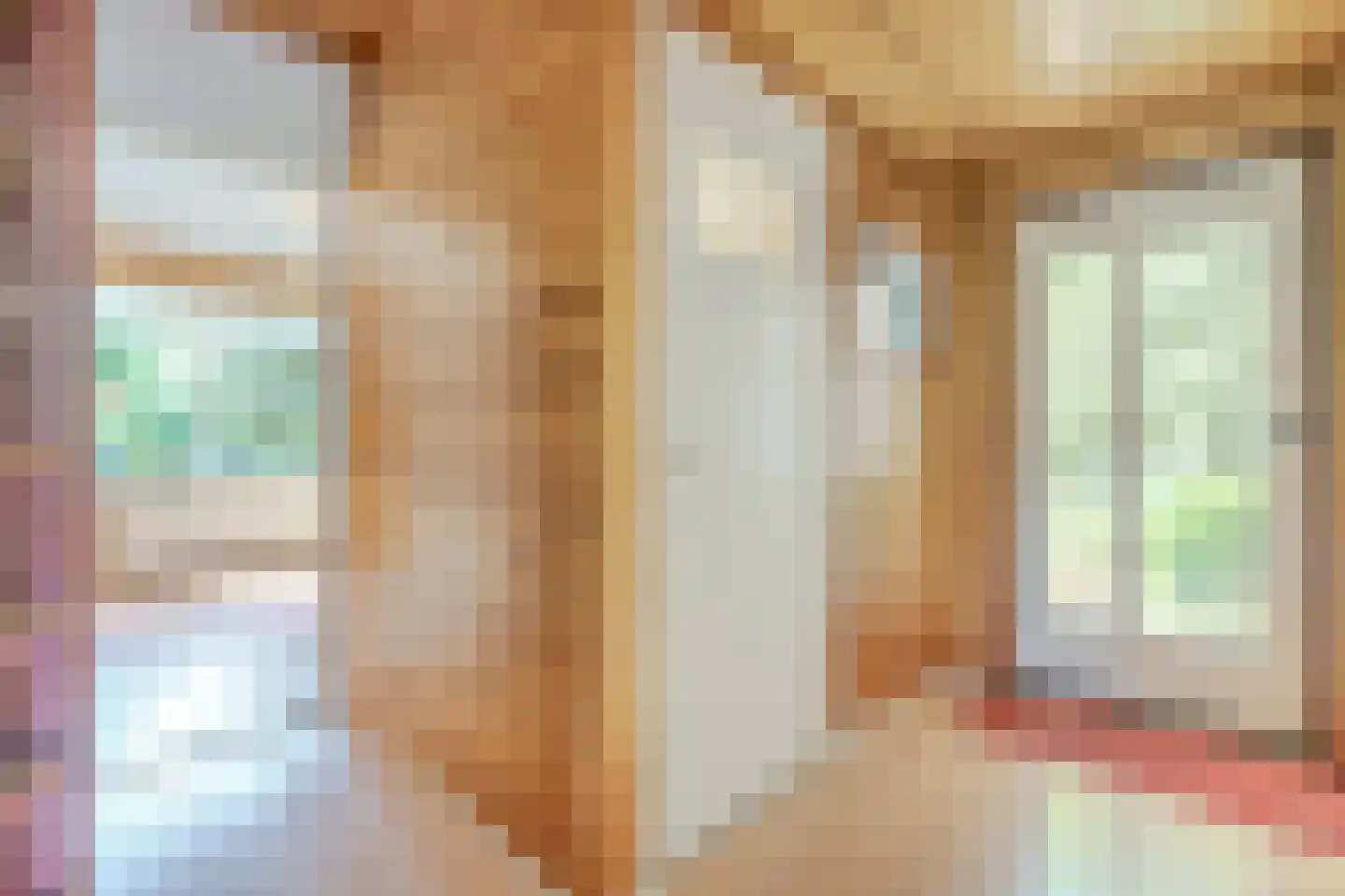 Leeuwte 2 Sint Jansklooster thumbnail 7