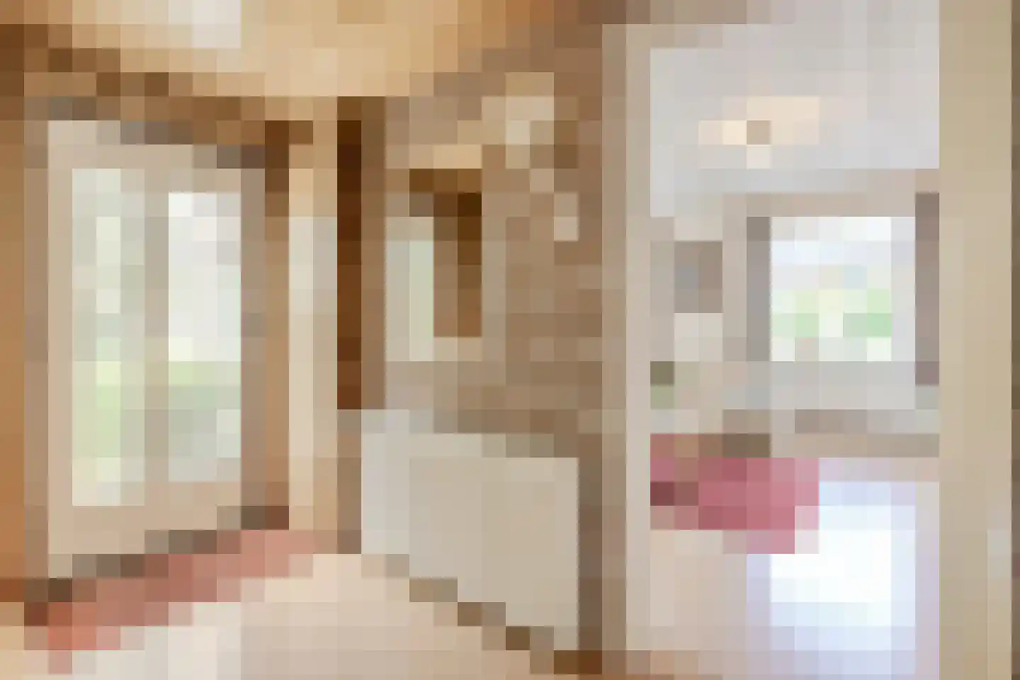 Leeuwte 2 Sint Jansklooster thumbnail 8