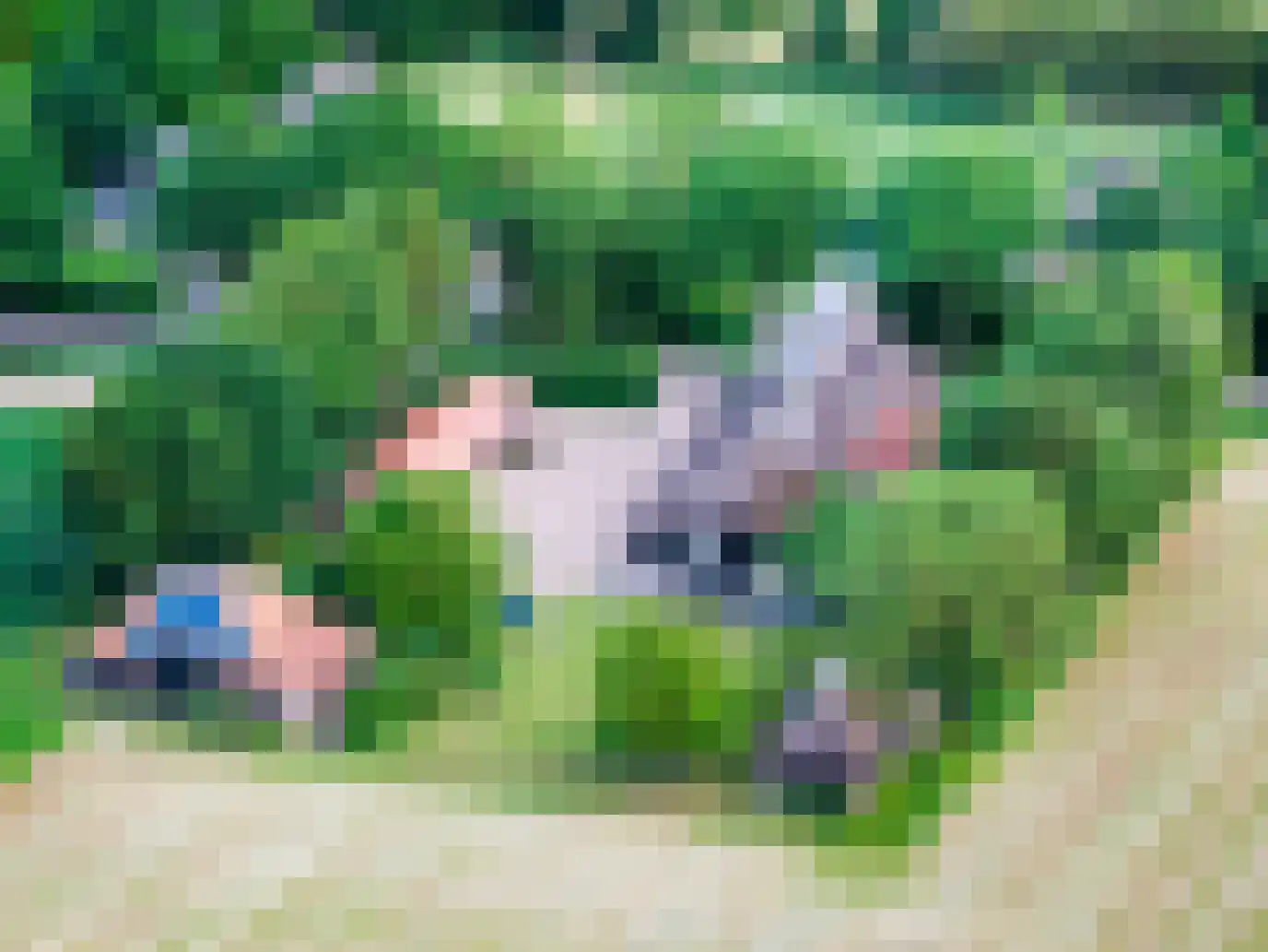 Leeuwte 20 Sint Jansklooster thumbnail 10