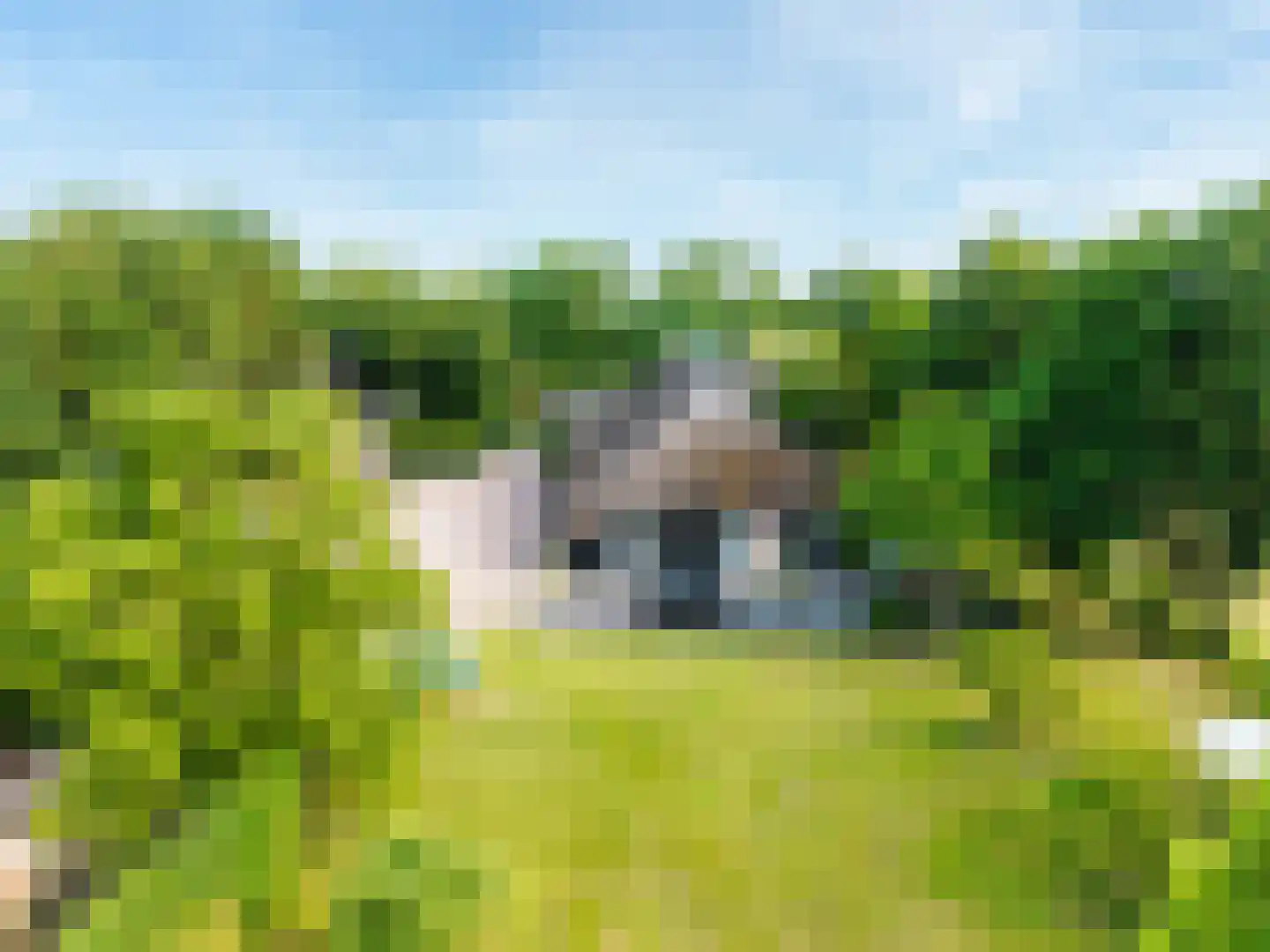 Leeuwte 20 Sint Jansklooster thumbnail 12