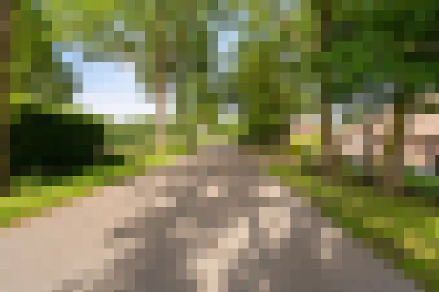 Leeuwte 20 Sint Jansklooster thumbnail 13