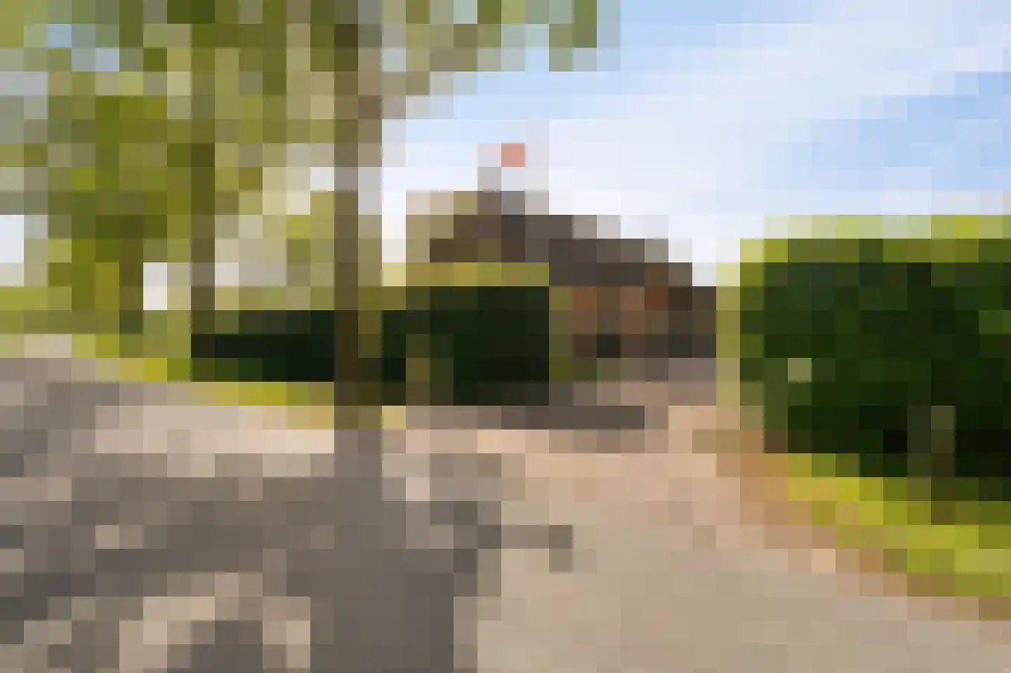 Leeuwte 20 Sint Jansklooster thumbnail 14