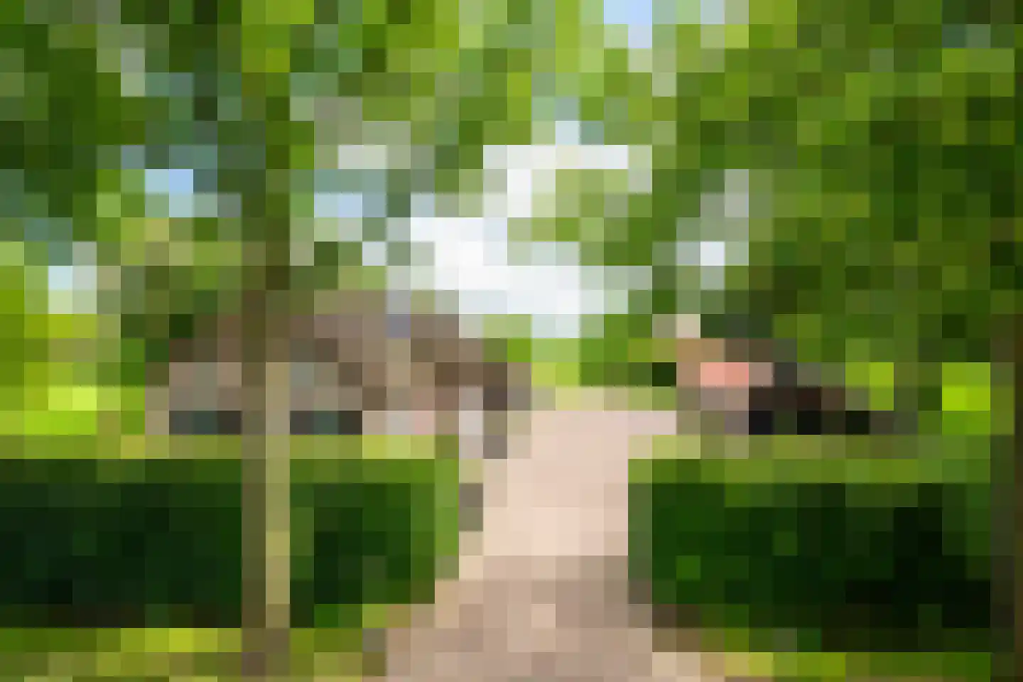 Leeuwte 20 Sint Jansklooster thumbnail 16