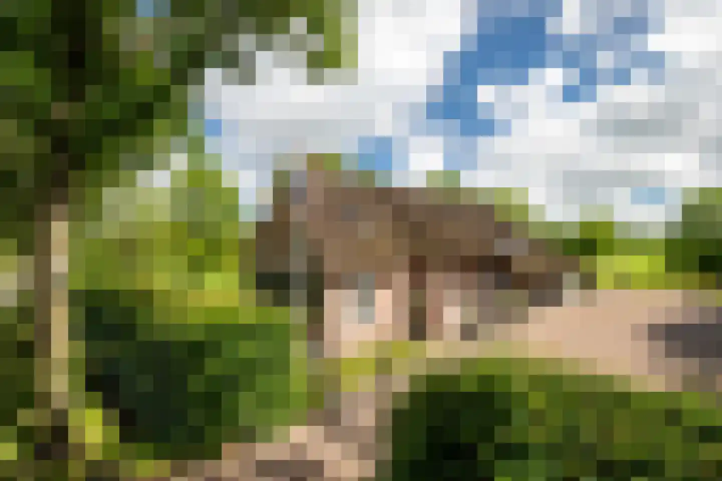 Leeuwte 20 Sint Jansklooster thumbnail 17