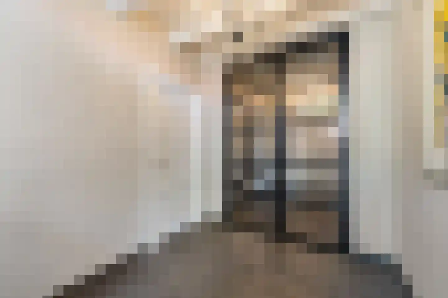 Leeuwte 20 Sint Jansklooster thumbnail 23