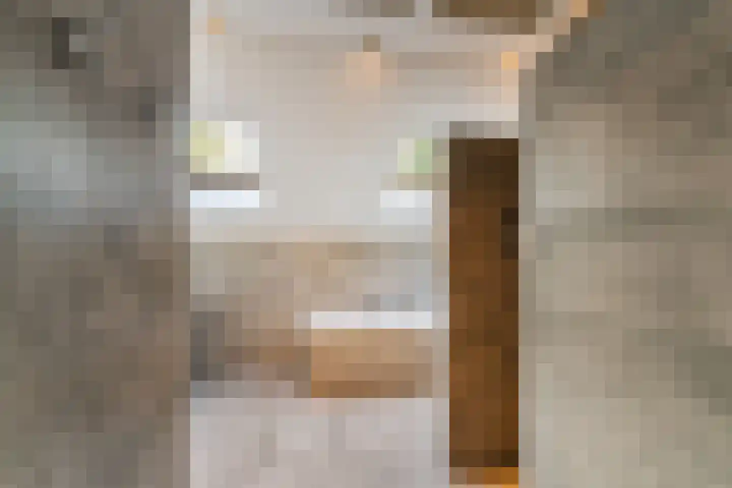 Leeuwte 20 Sint Jansklooster thumbnail 30