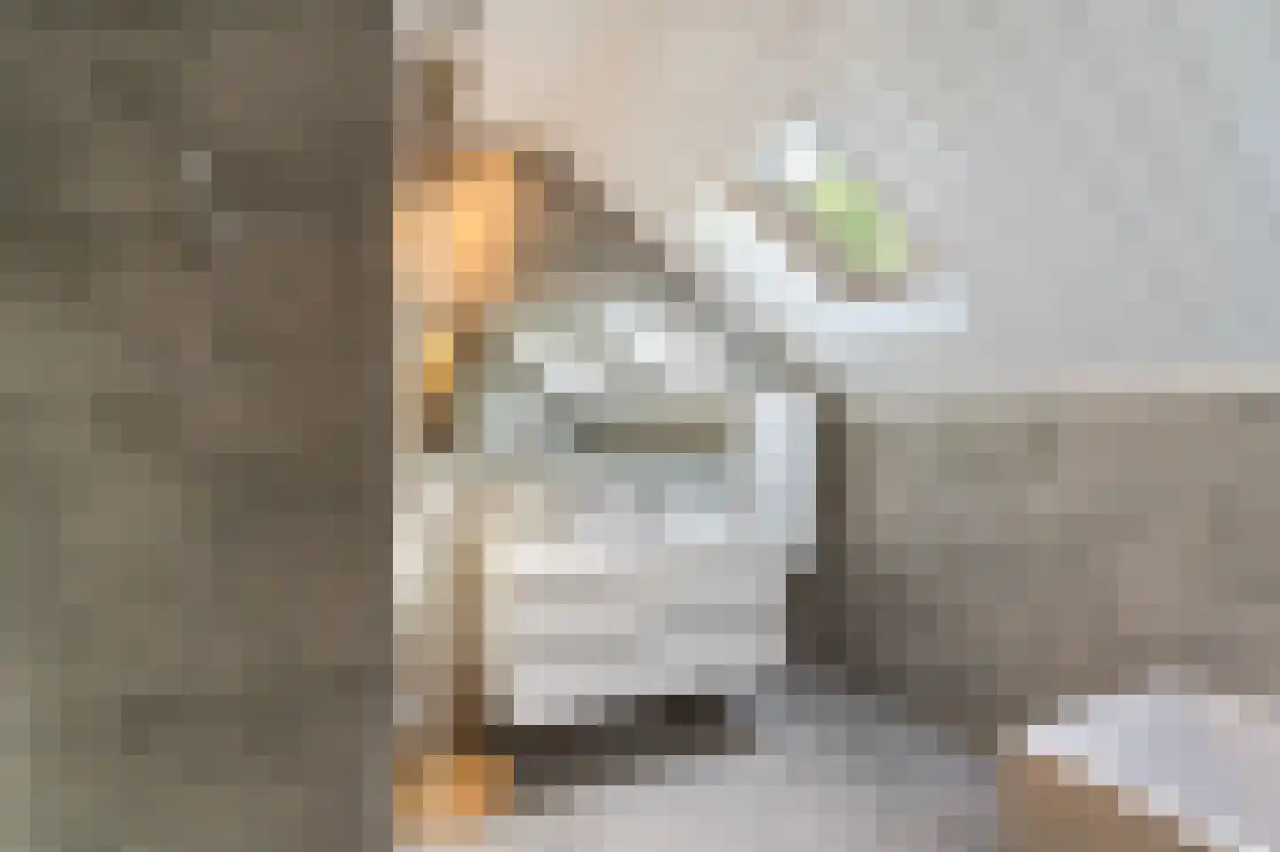 Leeuwte 20 Sint Jansklooster thumbnail 31