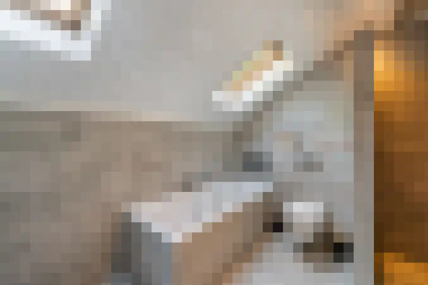 Leeuwte 20 Sint Jansklooster thumbnail 32
