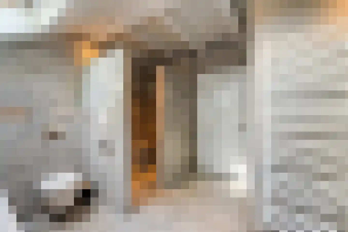 Leeuwte 20 Sint Jansklooster thumbnail 33