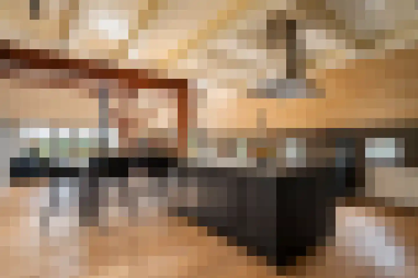 Leeuwte 20 Sint Jansklooster thumbnail 4