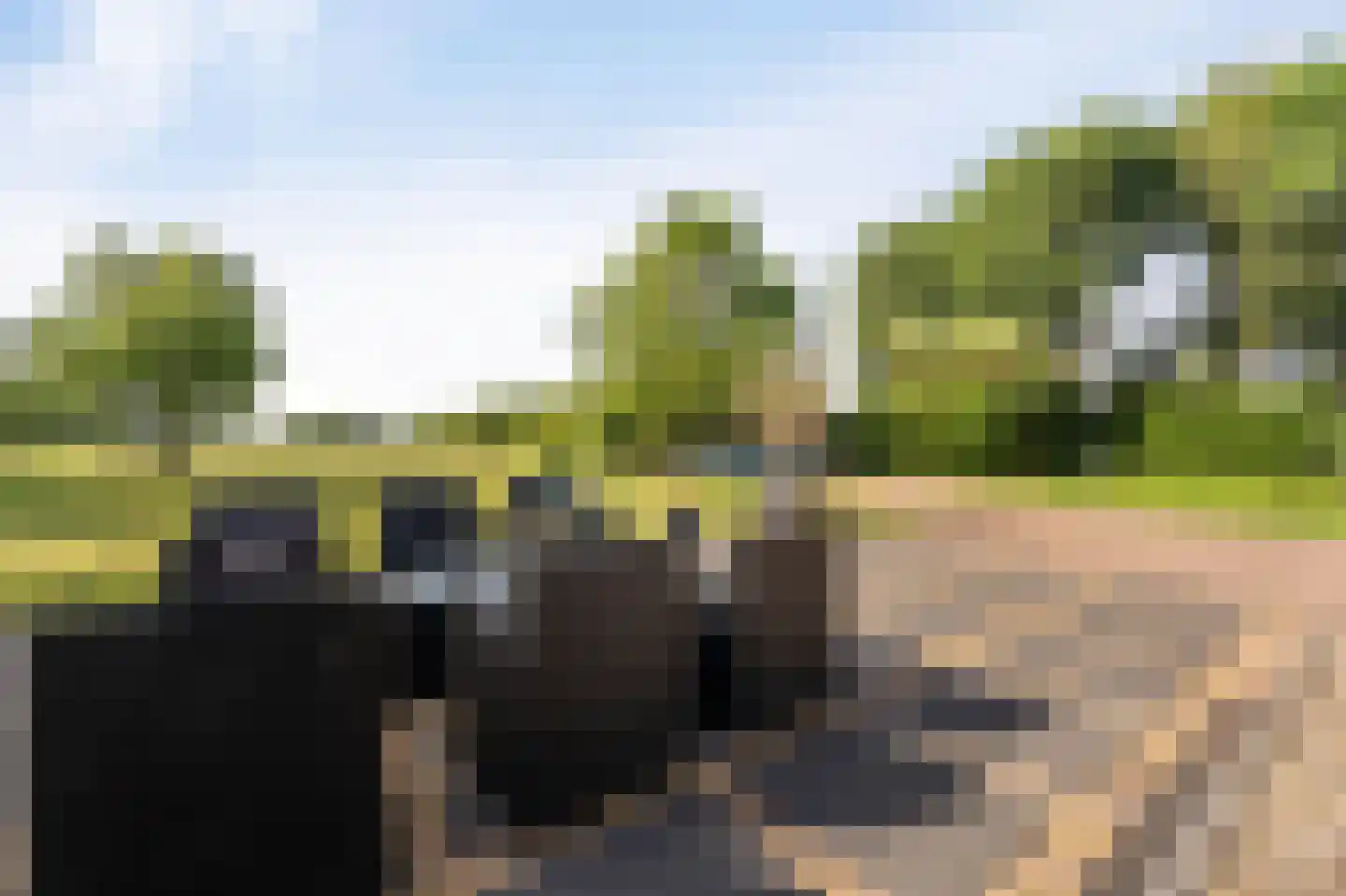 Leeuwte 20 Sint Jansklooster thumbnail 67