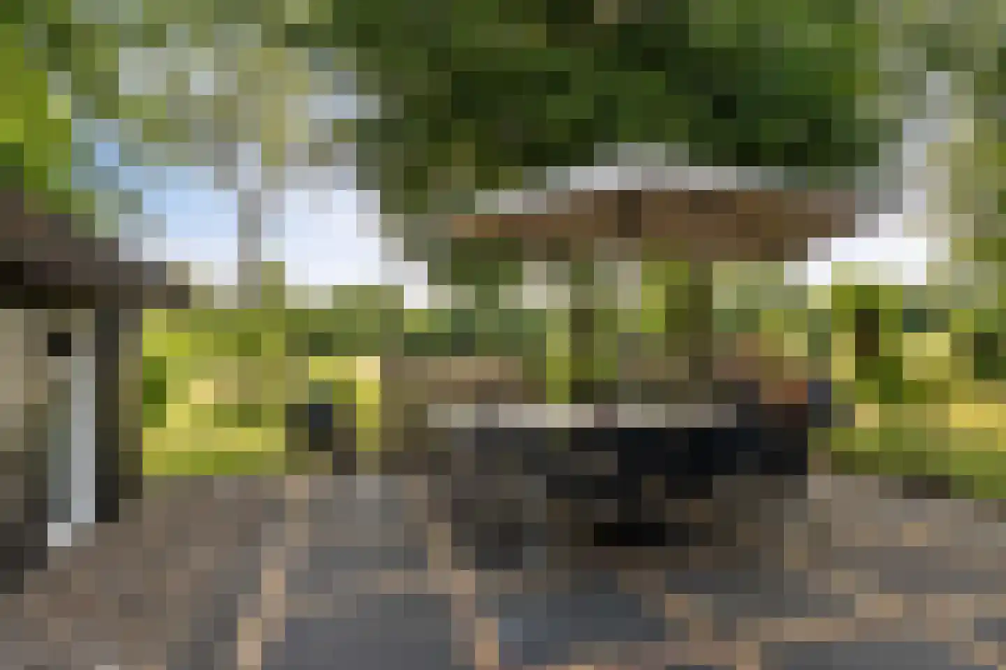 Leeuwte 20 Sint Jansklooster thumbnail 69