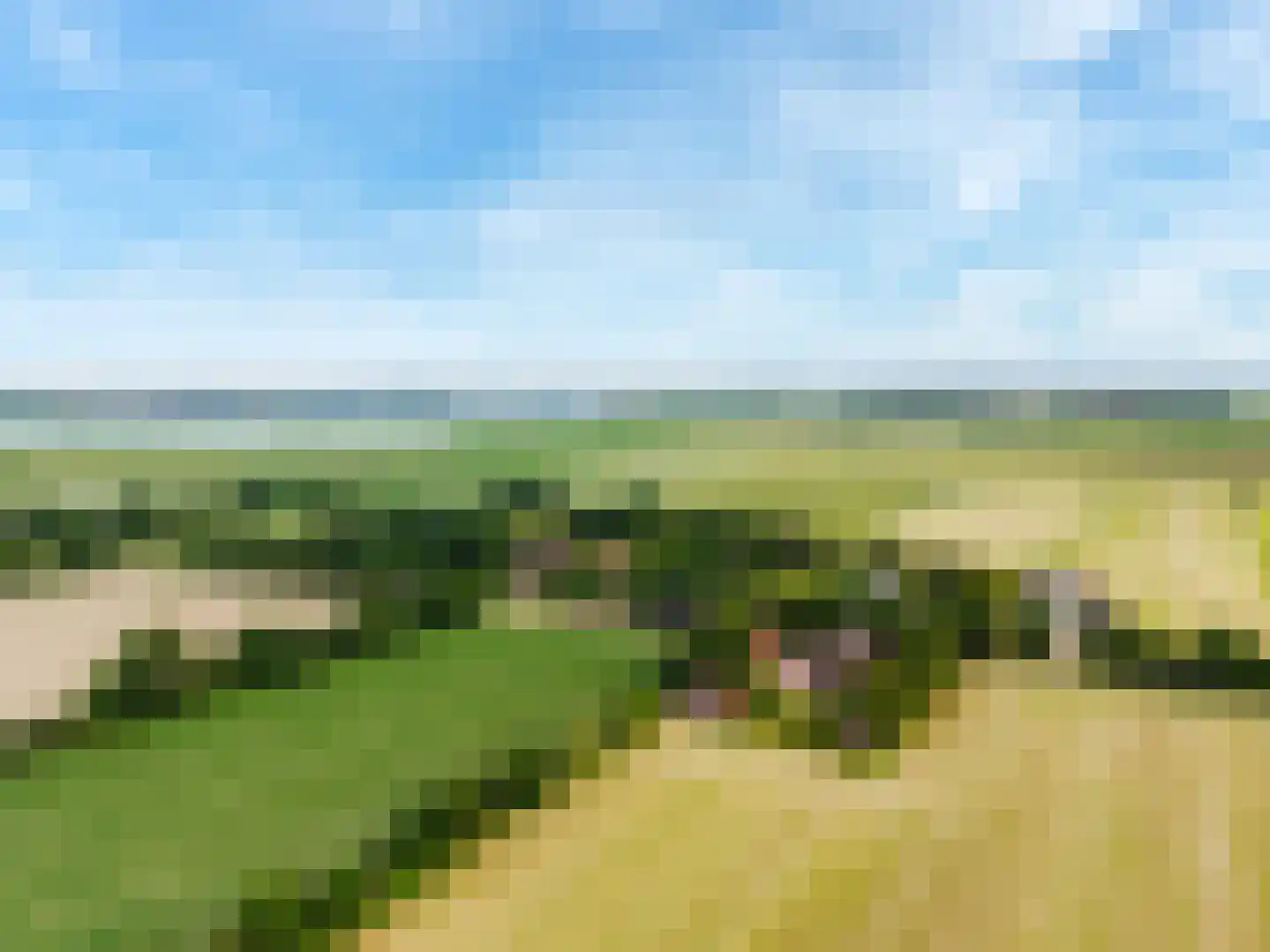 Leeuwte 20 Sint Jansklooster thumbnail 7