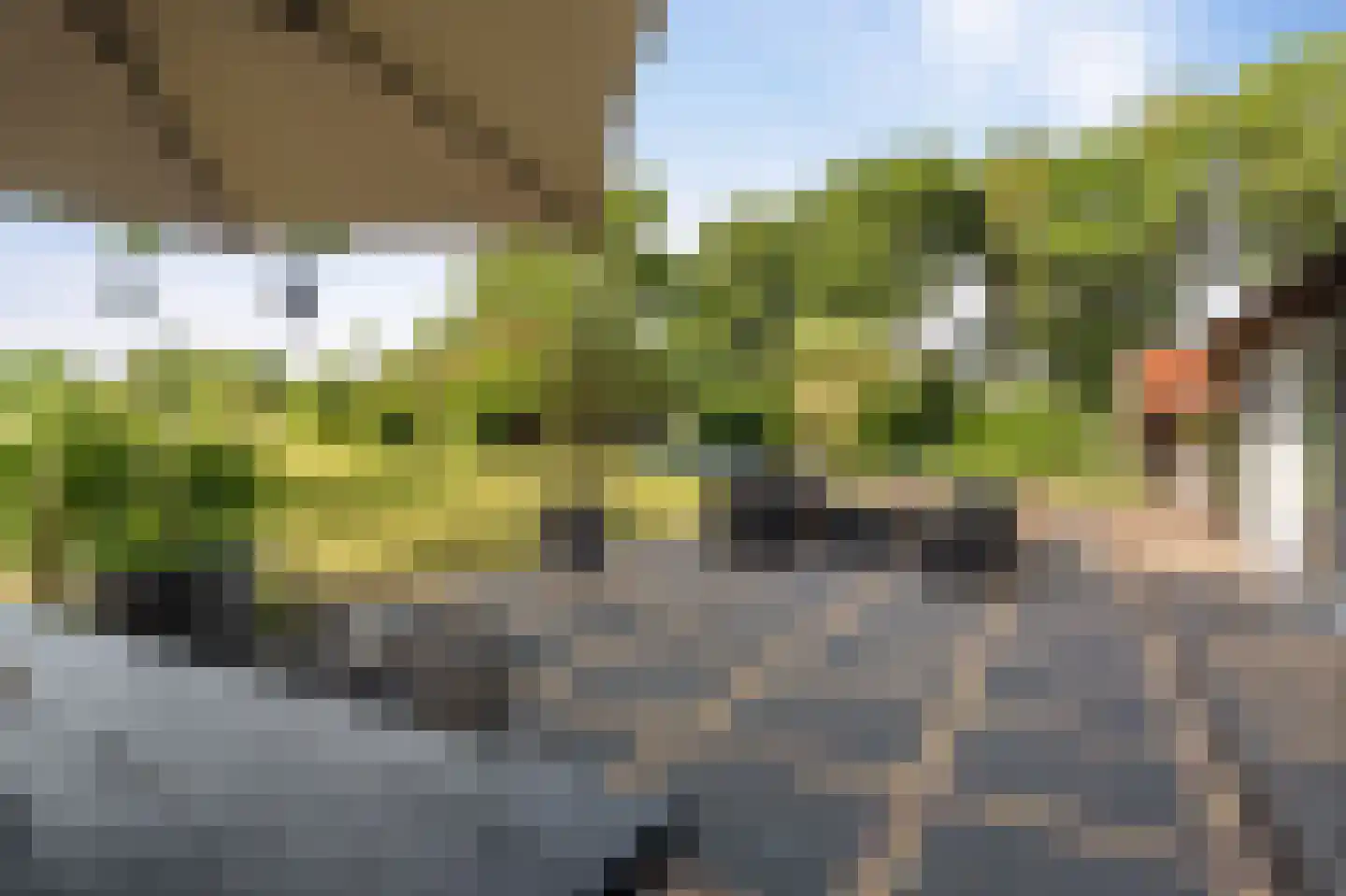 Leeuwte 20 Sint Jansklooster thumbnail 70