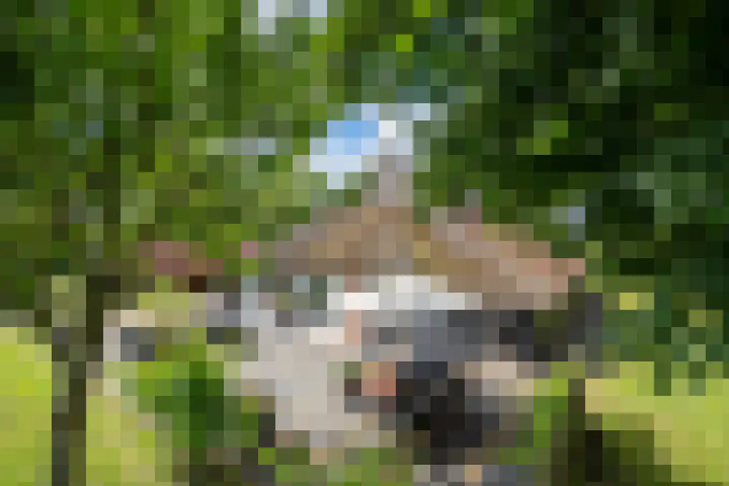 Leeuwte 20 Sint Jansklooster thumbnail 71